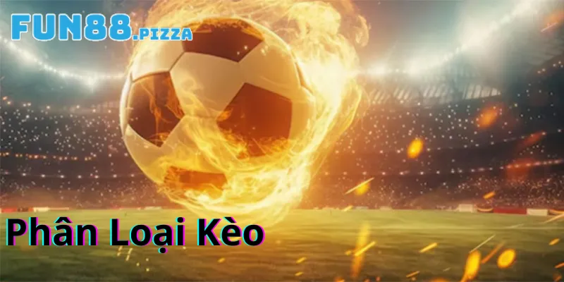 Phân loại kèo cược Score Box